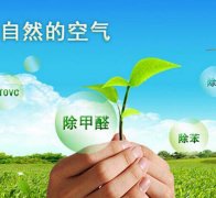 除甲醛對于住房安全和環(huán)境保護的作用有什么？