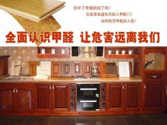 甲醛室內頭號隱形殺手再引關注 櫥柜甲醛知多少？【佛山除甲醛公司】